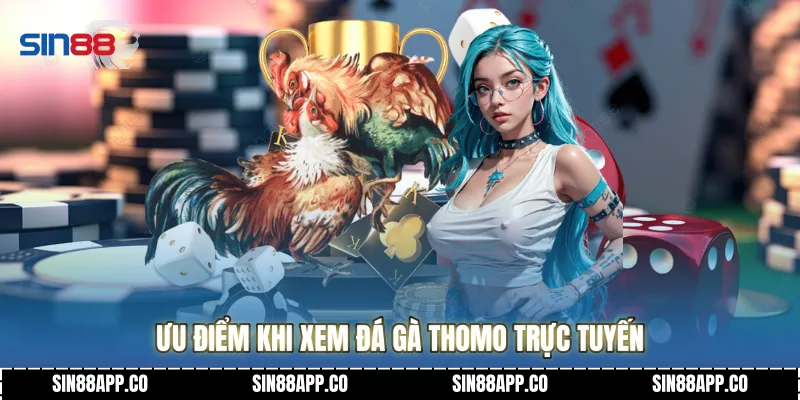 Đá Gà Thomo - Đấu Trường Rực Lửa Và Những Chiến Kê Huyền Thoại Ưu điểm khi xem Đá gà thomo trực tuyến